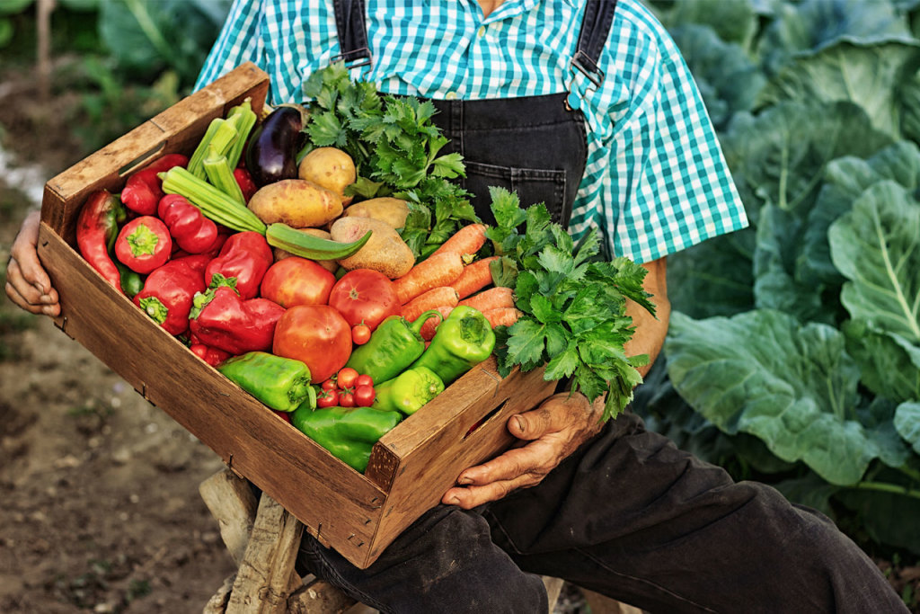 Garden Fresh Salad Company
